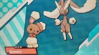 Pokemon UltraSun | Buneary Evolving into Lopunny