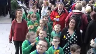 Redruth St Piran parade 2015