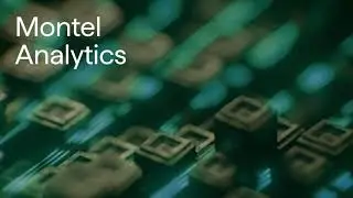 Montel Analytics