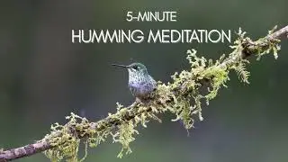 Humming & Vocal Toning Meditation | 5-Minute Sound Healing Vagus Nerve Massage | No Talking