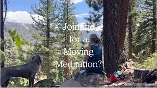 Join me for a Moving Meditation? Recovery: ASMR solo hike w my dog