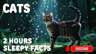 2 Hours - Fall Asleep Fast with Cats Facts, Adult bedtime stories for Deep Relaxation.