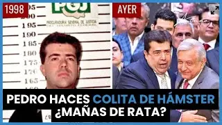 Pedro Haces: Colita de h&aacute;mster &iquest;ma&ntilde;as de rata?