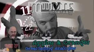 Apples & Oranges | MM 0250 | Missing the point of analogies