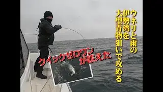 伊勢湾内がウネリと雨で悪天候でも大型青物を狙って攻めるよ！