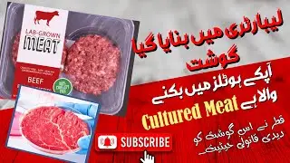 The Meat of the future: How Lab grown meat is made