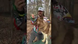 Some Latest Dog Tech Ideas  Part 1 - #WooFDriverTips