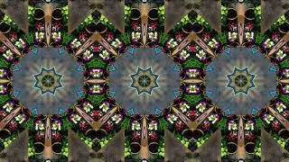 Maestro Tlakaelel - Airborne in the Kaleidoscopic Backyard Garden - a2photographic.com - June 30, 24