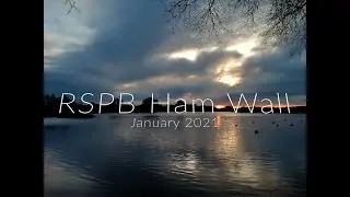 RSPB Ham Wall ~ The Starling Murmurations 2021