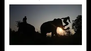 KPJ X MUSPEN | WILDLIFE PHOTOGRAPHY (REGINA SAFRI)