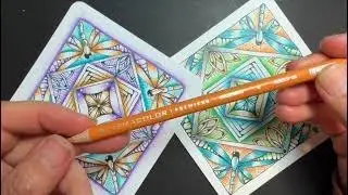Dragonfly Delight Zentangle Class for SRL
