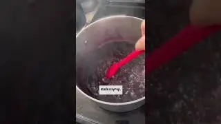 Make Aronia Berry Syrup With Me