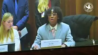 FerMUN 2025 : intervention de Nolan GIUGNI.
