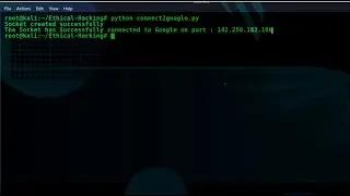 Diving Into Sockets. #Python_Socket_Program #connect_to_google #Ethical_Hacking_Beginner_Tutorials
