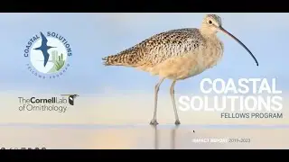 Shorebird conservation through capacity building: 5 years of the Coastal Solutions Fellows Program
