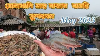 সোনাখালী মাছের বাজার বাসন্তী || Sundarban Fish markt || Basanti Sundarban