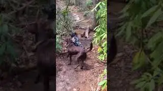 Trailplay