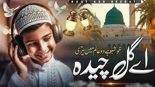 Khushboo Hai Do Aalam Mein Teri | Naat 2025 | Prof Hafiz Abdul Qadeer | خوشبو ہے دو عالم میں تیری