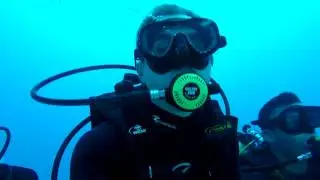 PHANTOM DIVERS WITH BULL SHARKS(Playa del Carmen)