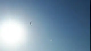 2017 ADEX F-22 랩터 급선회