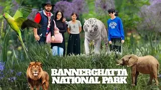 Complete Guide to Bannerghatta National Park , Bengaluru #wildlife #travel #junglesafari #explorer 