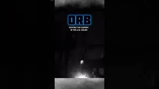 ORB VISITING THE GARDEN IN THE A.M. HOURS OF THE NIGHT.