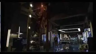 Flash does the Salmon Ladder