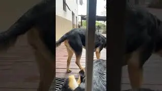 Cute right