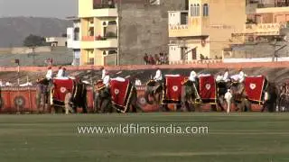Elephant Festival - one of the most popular festivals of Jaipur