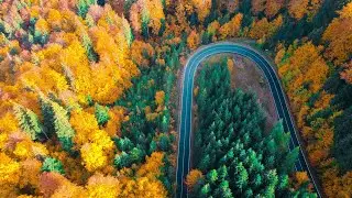 Canta cucu-n Bucovina | Bucovina plai cu flori |