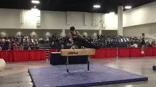 Gabe Fry Pommel Horse at GymACT East Championship