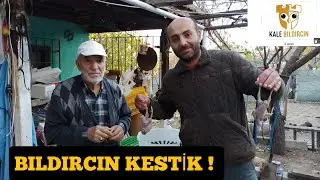 HACI BABAYA ARABAŞILIK BILDIRCIN SÜRPRİZİ ! / BILDIRCIN KESTİK ! / BILDIRCIN NASIL TEMİZLENİR !