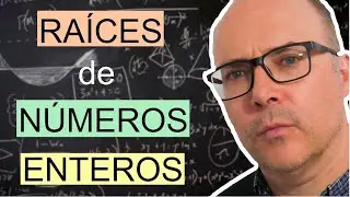 Raíces de números enteros, curso de números enteros