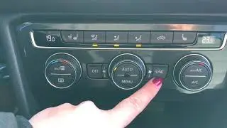 Dual Zone Climate Control