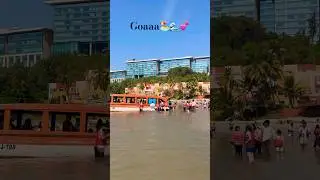 Goaaa💕🫶🏻#shortsfeed #goa #shorts #trendingshorts #viral #viralshorts #shortsyoutube #goabeach
