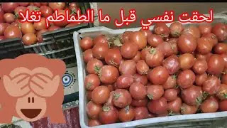 قولت الحق نفسي وخزن شويه طماطم قبل ما تغلا واهم تجهيزات رمضان عندي 🥰🥰