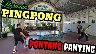 playing ping pong helter-skelter - effort does not betray results - table tennis mania