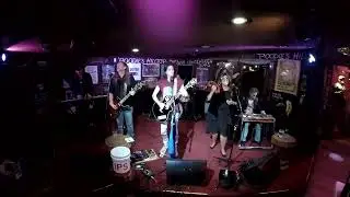 Shandon Sahm @ Poodies - Groover