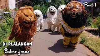 KIRAB CAN MACANAN DAN DRUMBAND SINGO MANGGALA DI PLALANGAN BINTORO JEMBER PART1.mp4