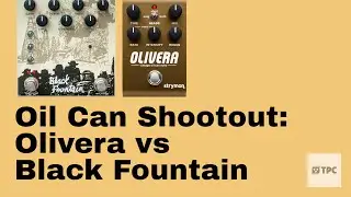 Лучшее масло для стерео-задержки? Strymon Olivera или Old Blood Black Fountain