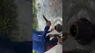 Bữa Nai anh em chu chao đi đ&acirc;y tri va chơi ca lu&ocirc;n