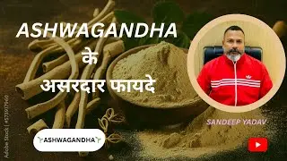What is Ashwagandha || “अश्वगंधा के अद्भुत फायदे | Stress, Strength & Sleep || Sandeep Yadav ||