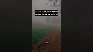 #viralvideo #poetry #love #sadpoetry #viralvideo #sad #poetry #shots #shortvideo #viralvideo #usa