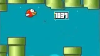 Flappy bird level 1005 @Dudich27