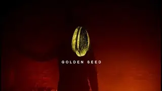 GOLDEN SEED - Vid&iacute;m v&scaron;echny (prod.Leryk)