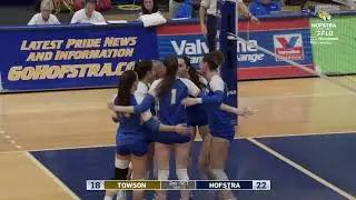 VB: Hofstra Highlights vs. Towson (11/8/25)