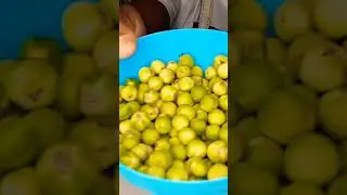 Gully Bean ASMR #subscribe #new #tranding #newvideo