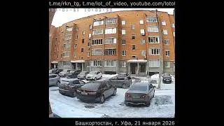Парктроник. Бигимот и 