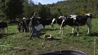 Making a Difference for Vermont: Bequests to the Vermont Land Trust