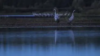 G&Oacute;RNA BIEBRZA &ndash; FELIETON 1